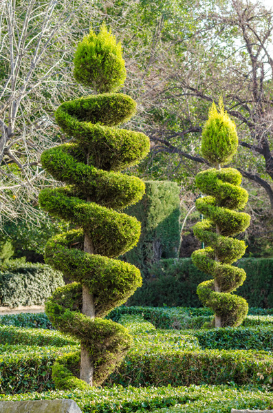 topiary image
