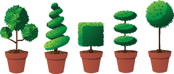 topiary illustration