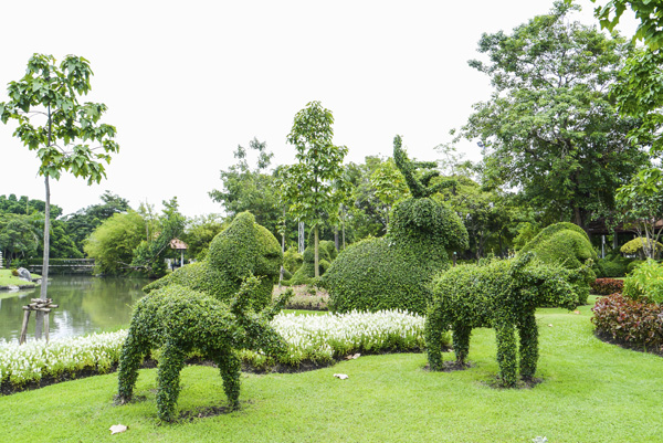 Animal topiaries bask in the sunlight alongside red snapper turtles that make their home in the neighboring pond.